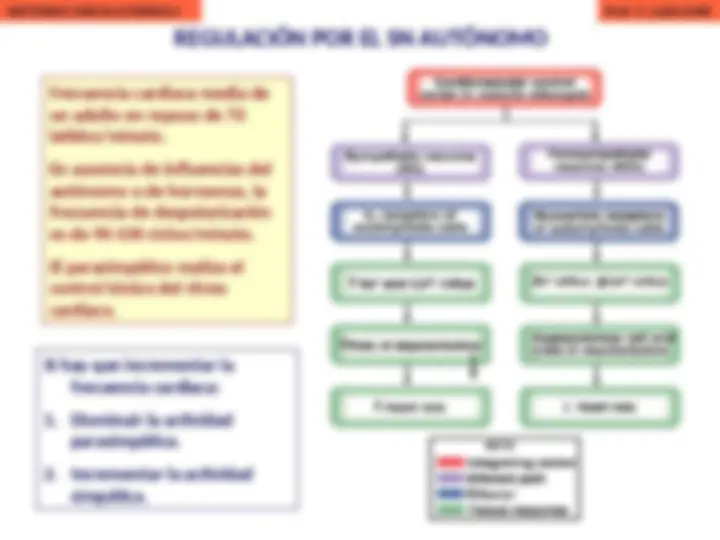 pf2e