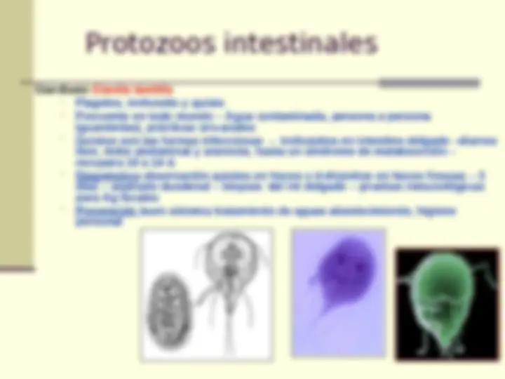 pf3