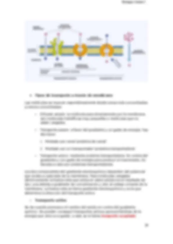 pf14
