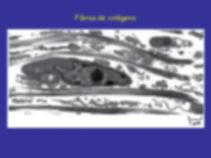 pf28