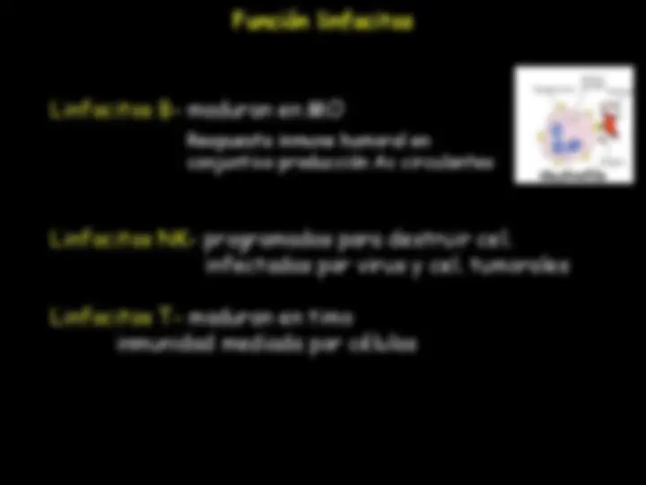 pf32