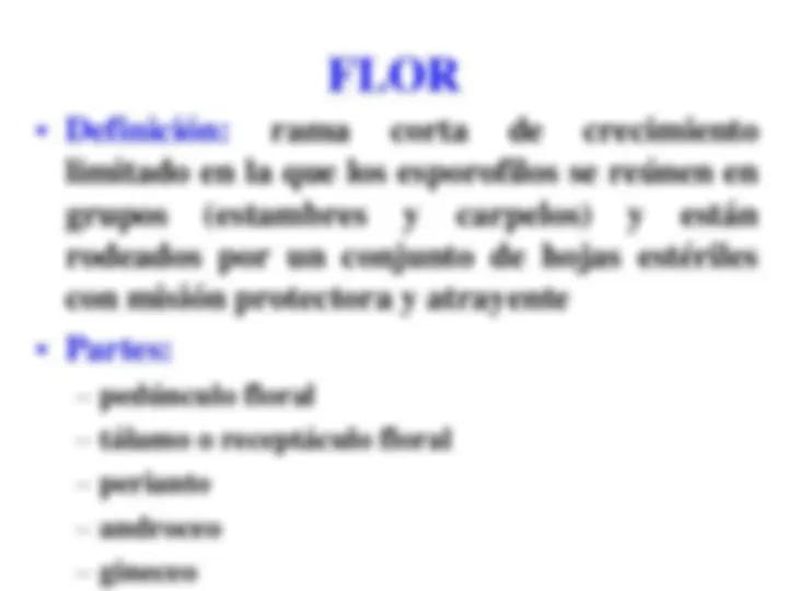 pf5