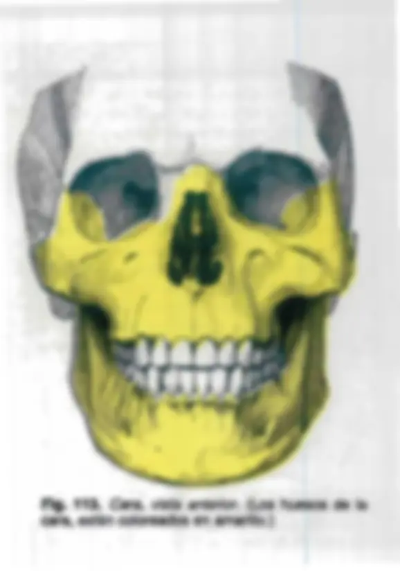 pf14