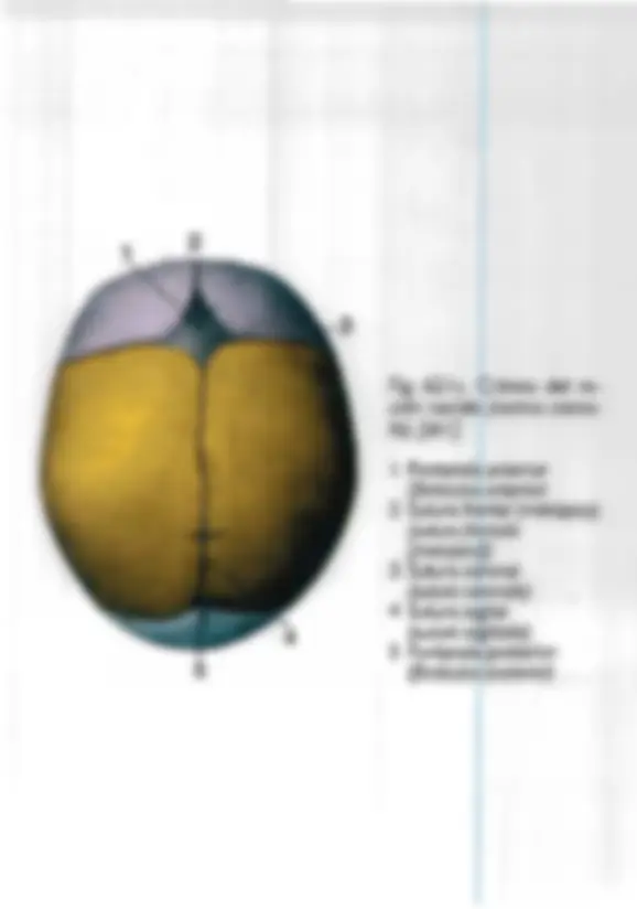 pf4