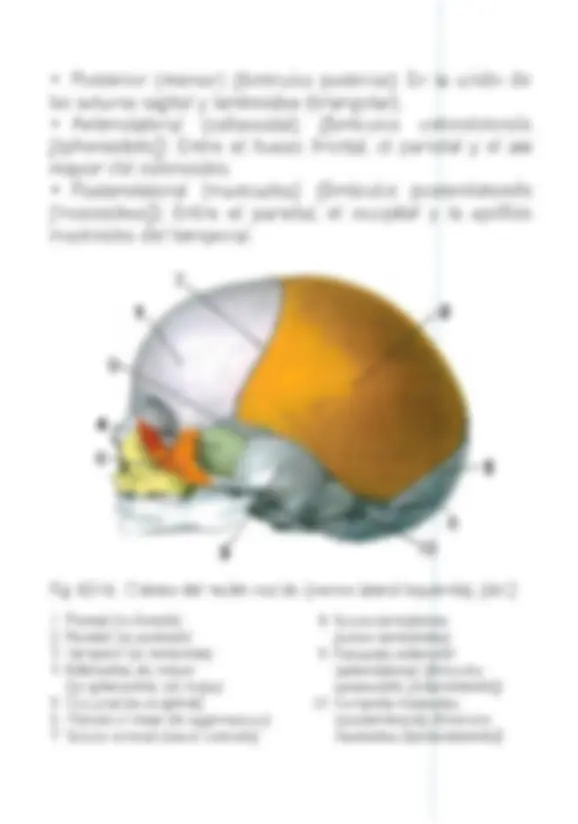 pf12