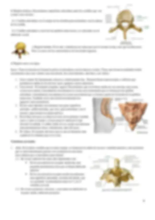 pf9
