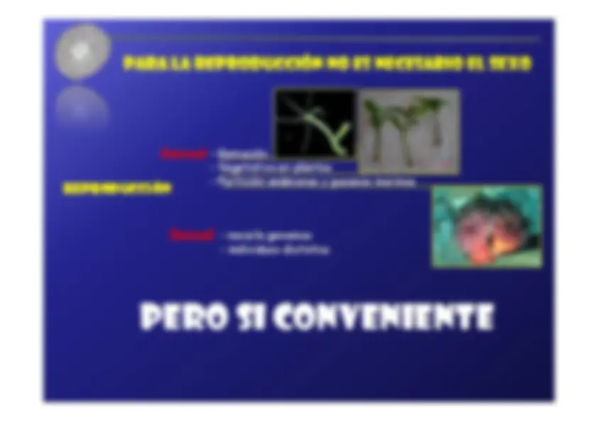 pf5