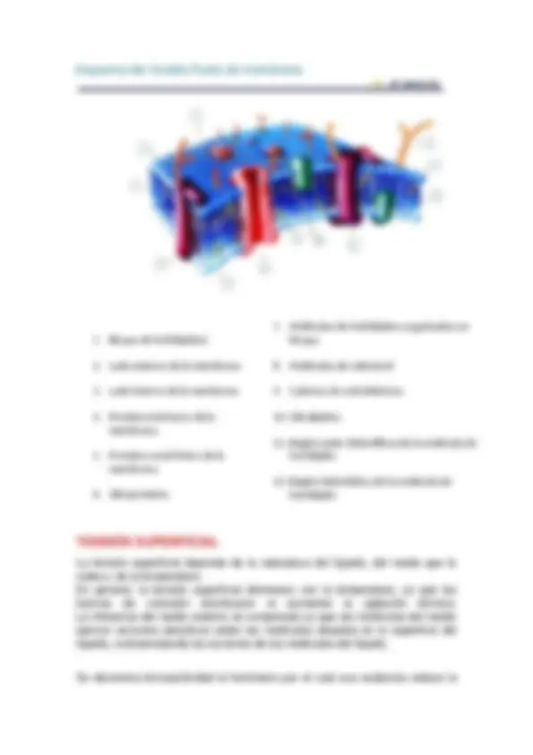 pf1a
