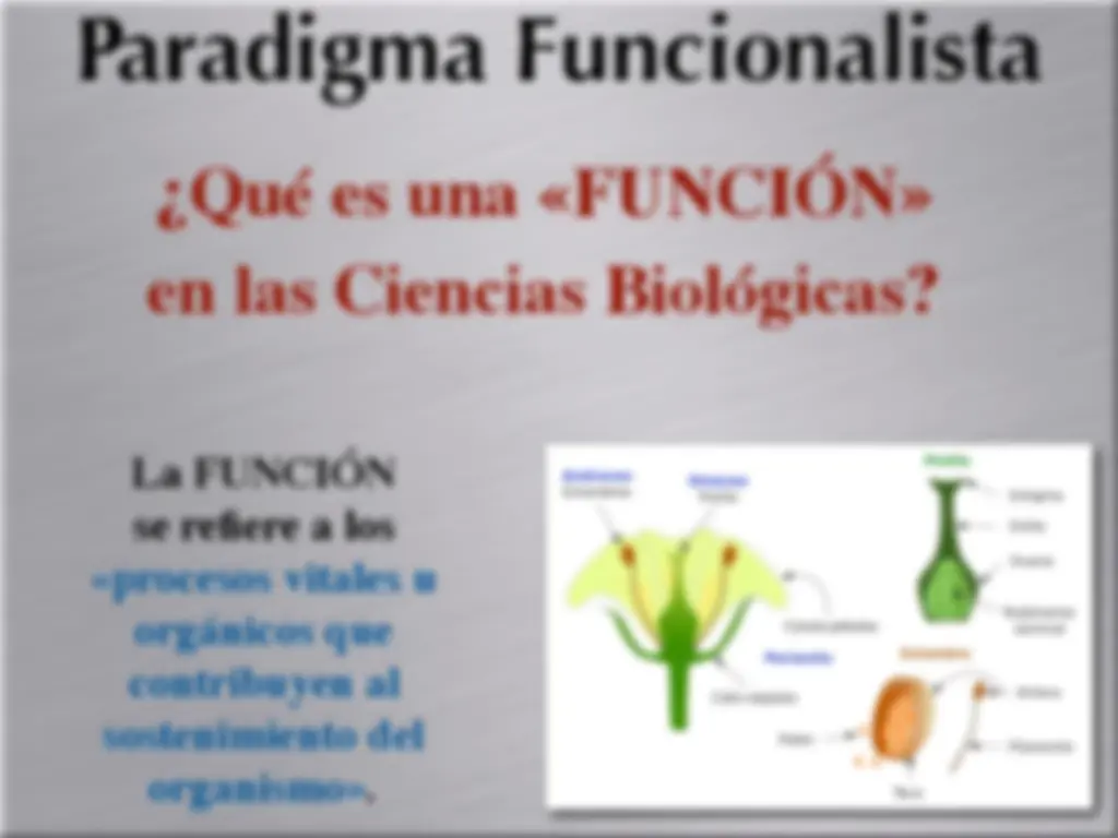 pf13