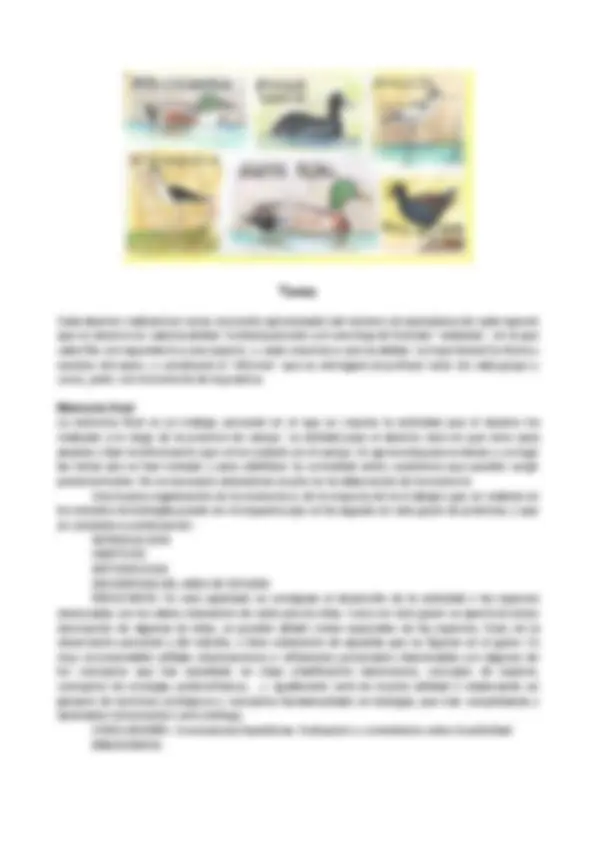 pfa