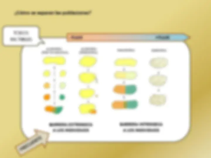 pff