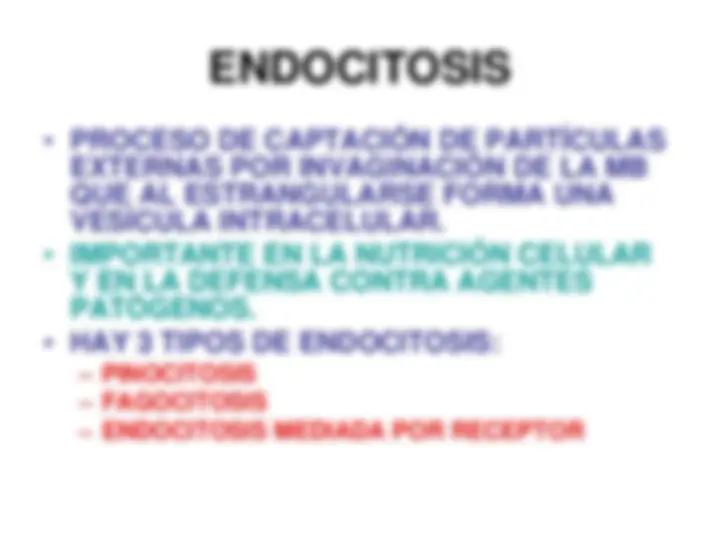 pf5