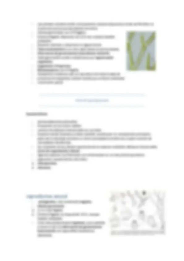 pf5