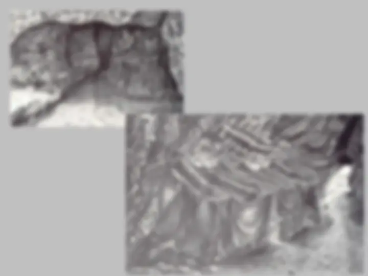 pf2e