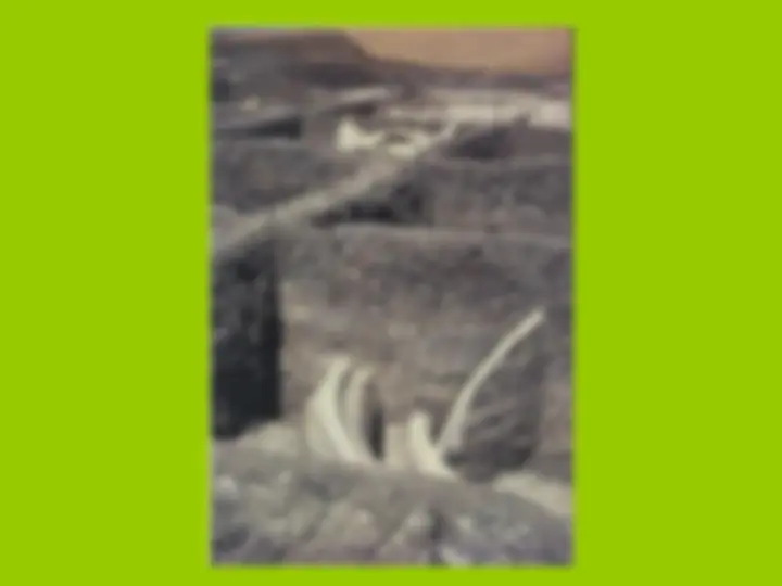pf46