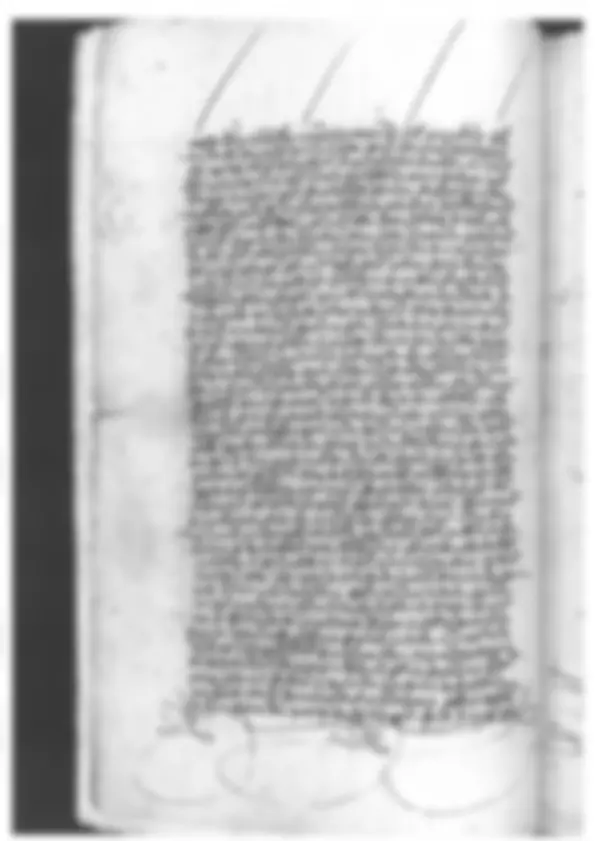 pf31