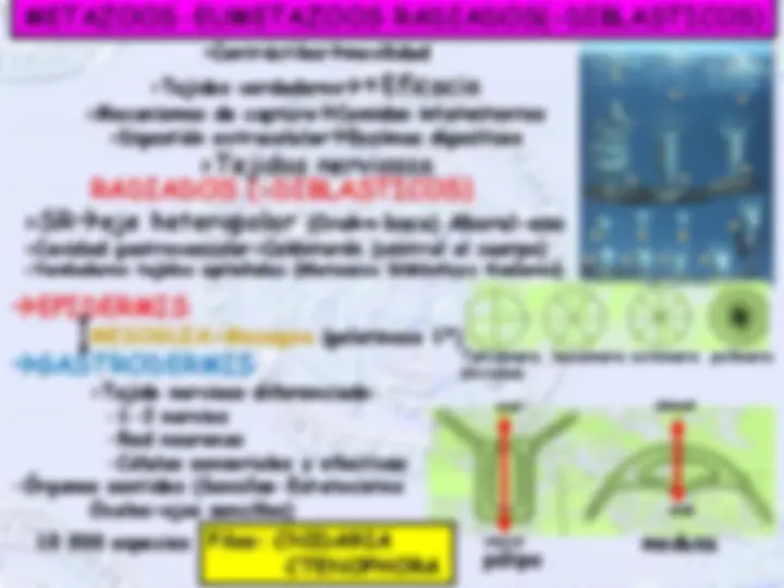 pf12