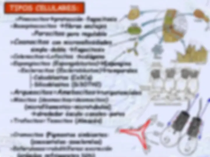 pfa