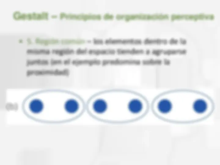 pf19