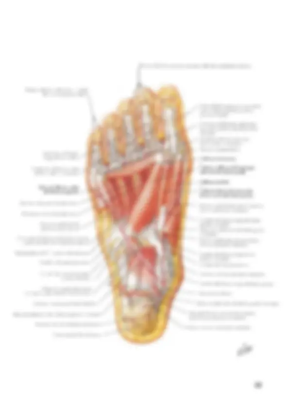 pf1a