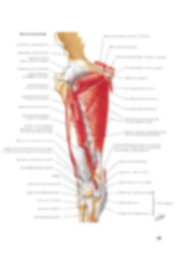 pf24