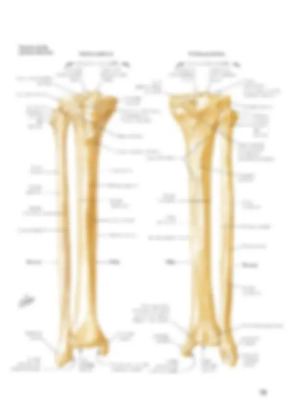 pf12
