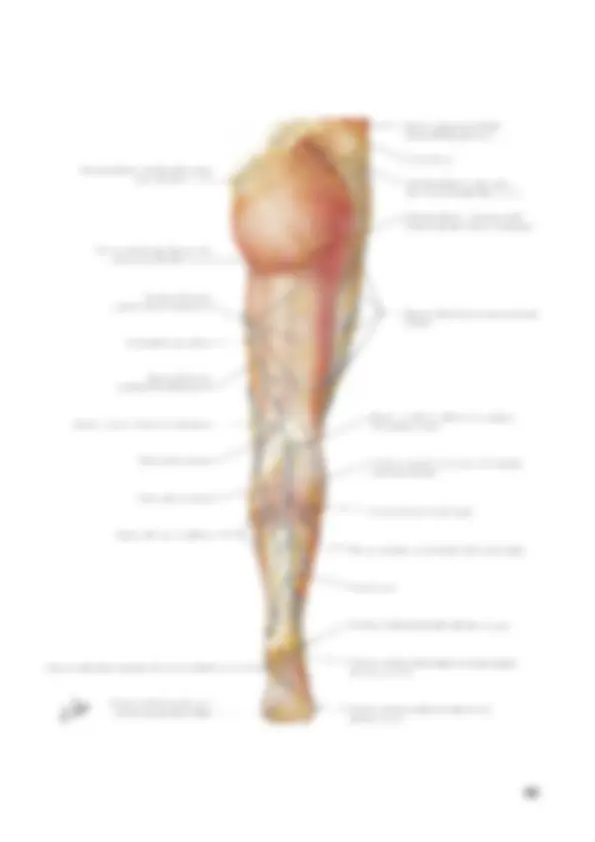 pf42