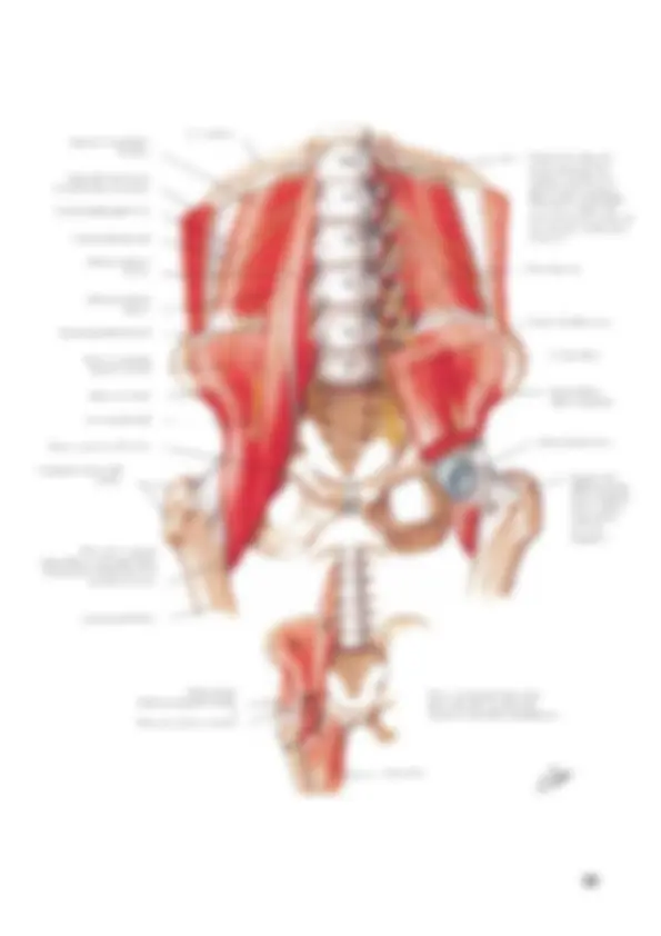 pf27