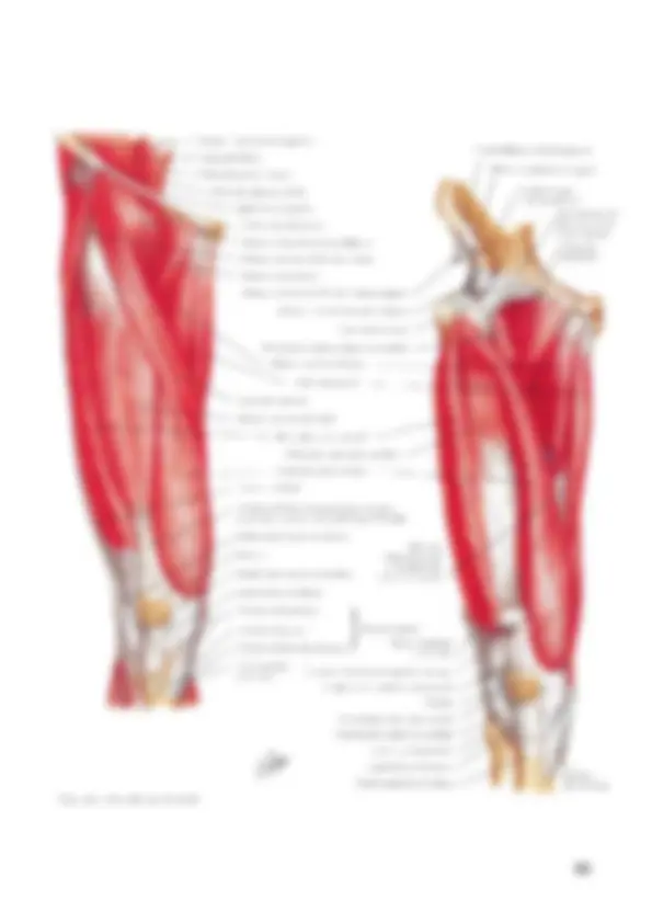 pf23