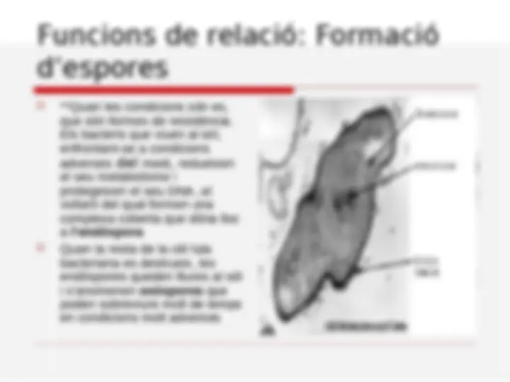 pff