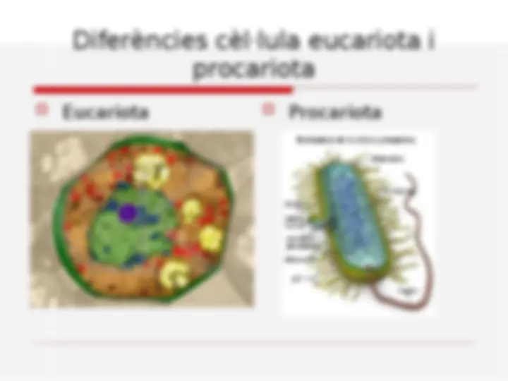 pf5