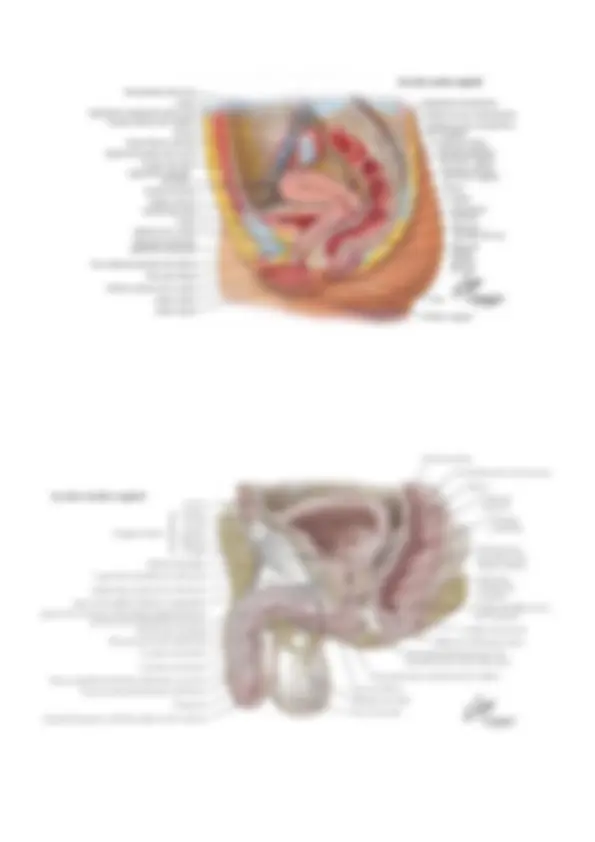 pf5