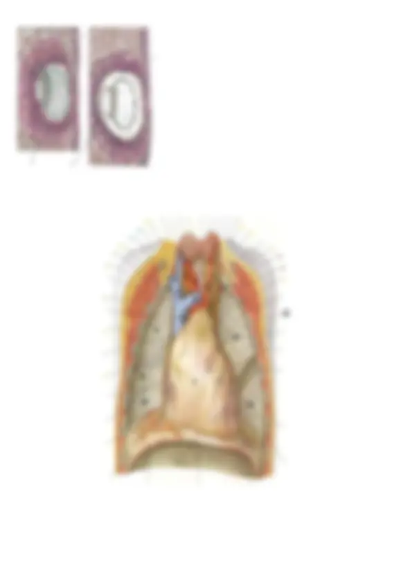 pfa