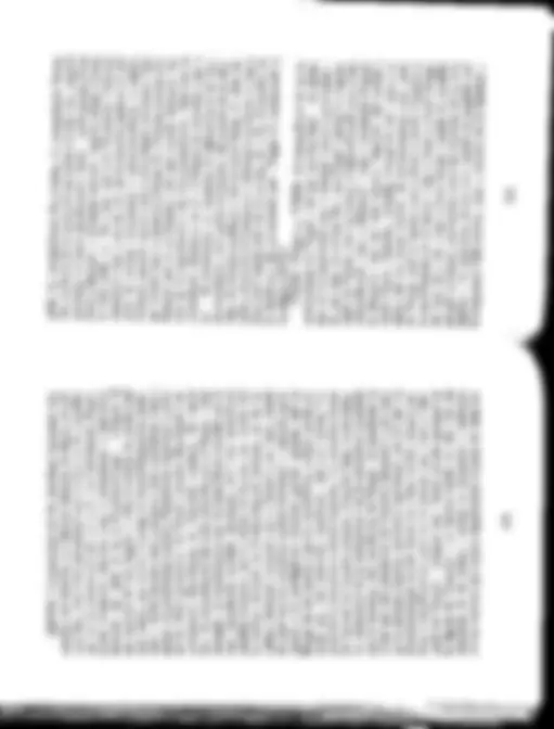 pf53