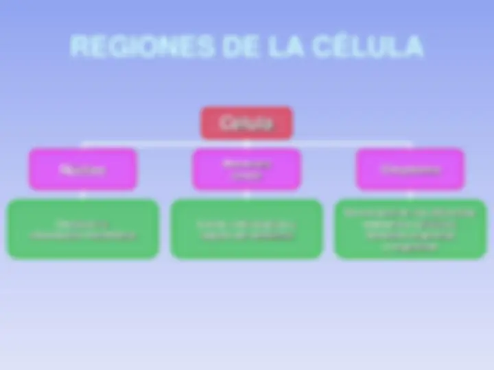 pf3