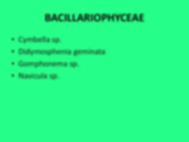 pf34
