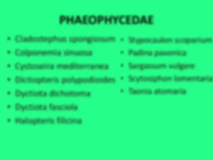 pf16