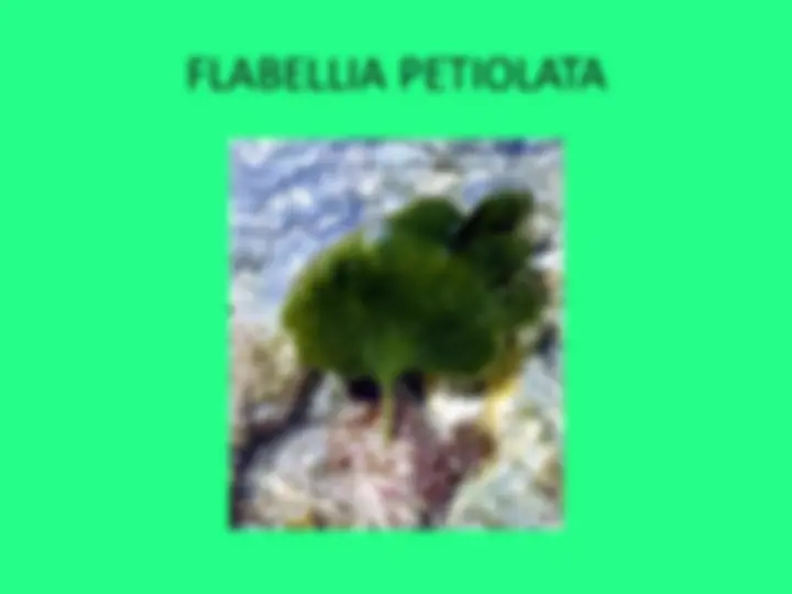 pfa