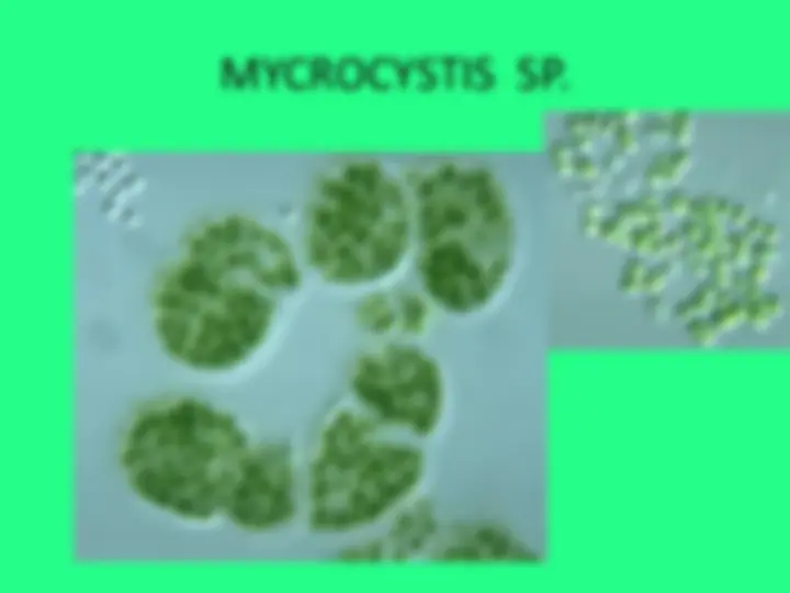pf3a