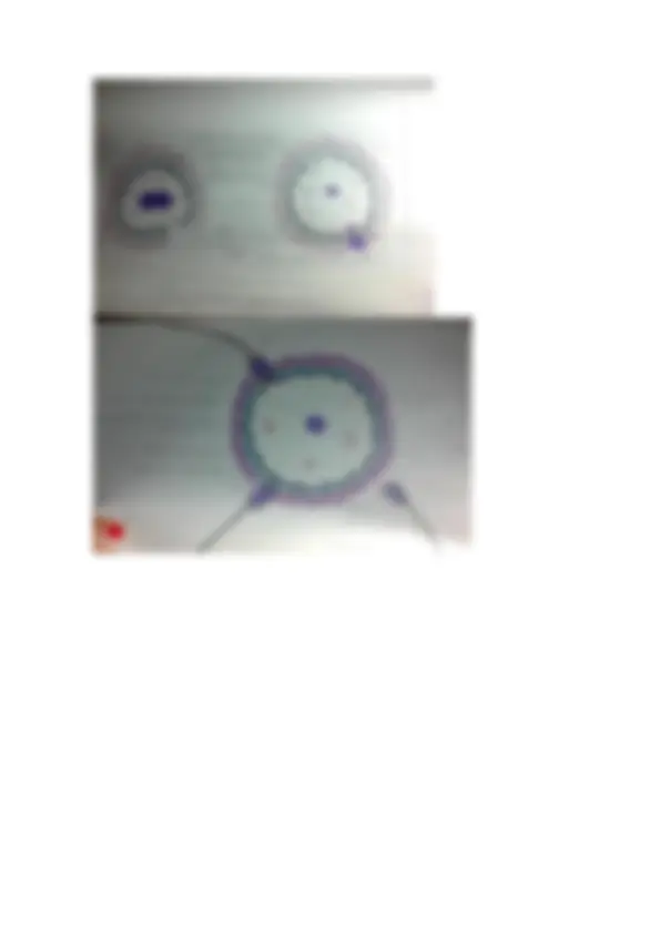 pf8