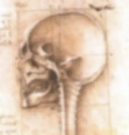 pf20