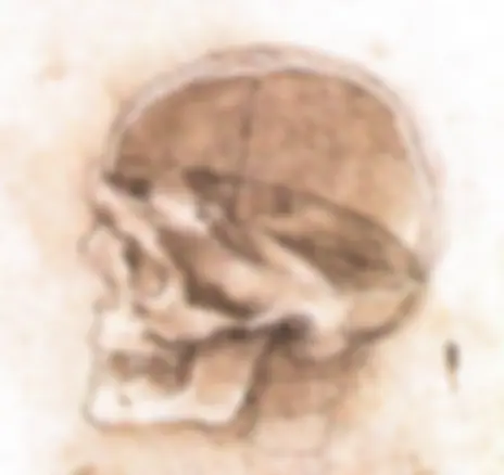 pf1f