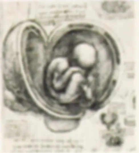 pf27