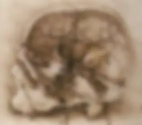 pf14