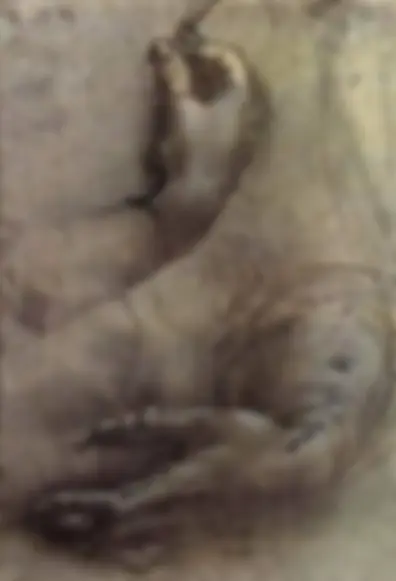 pf13