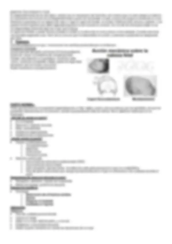 pf3e