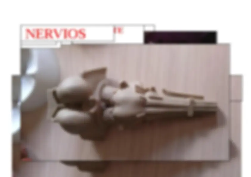 pf2