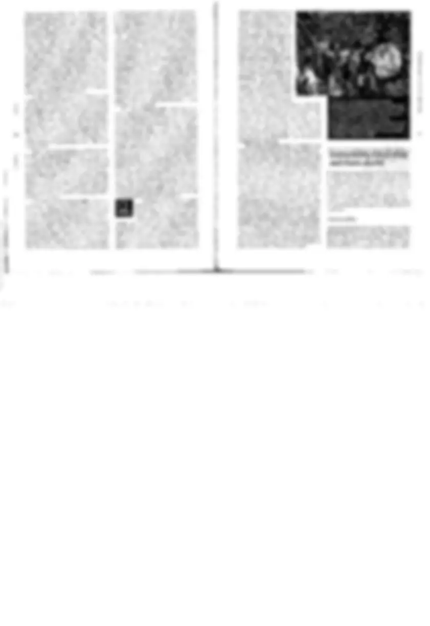 pf23