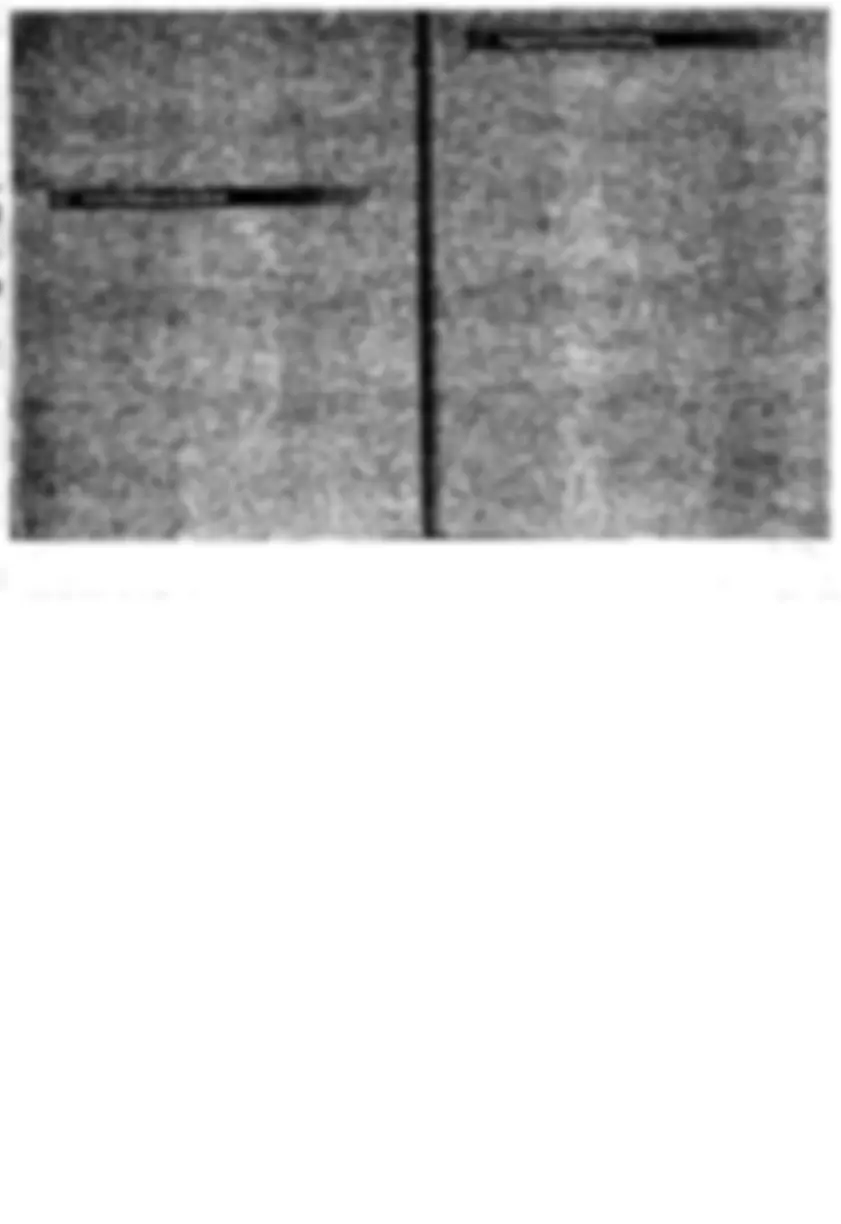 pf1c