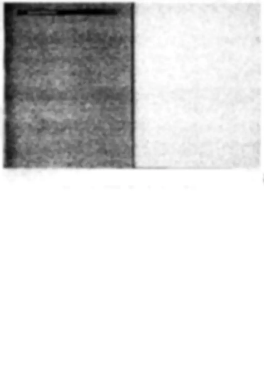 pf1d